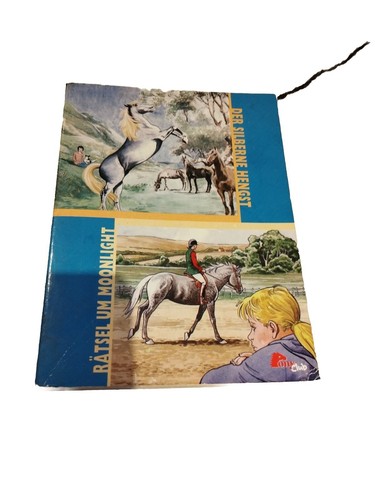 Pony club buch der silberne - buch,