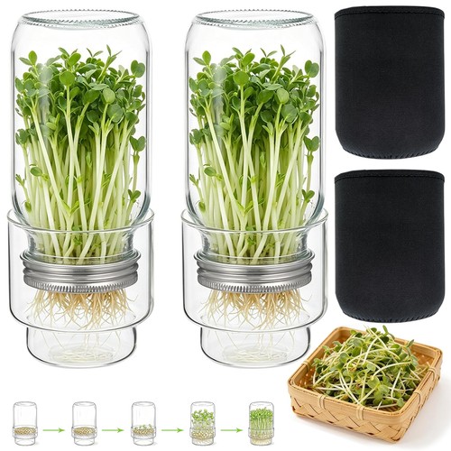 Sprossenglas keimglas set - keimglas,