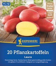 Pflanzkartoffel Laura, 20