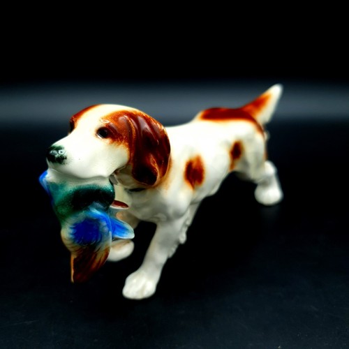 Jagdhund mit fasan germany - jagdhund,