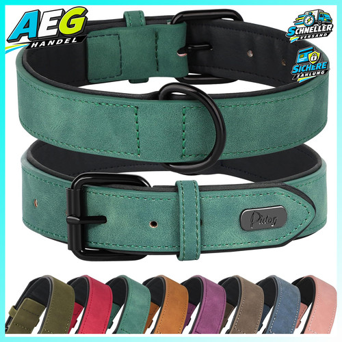 Hundehalsband leder gepolstert - hundehalsband,