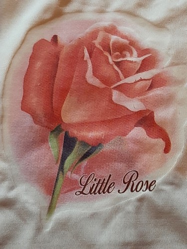 Little rose wäschebeutel - rose, bh
