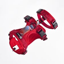 BlueGuard Sicherheitsgeschirr