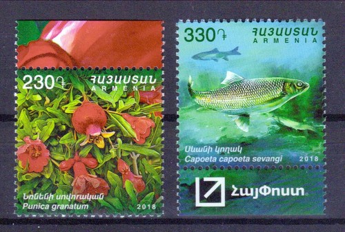 Armenien fauna flora - fauna, 2018