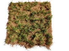 Terrarium Bodengrund Kokos