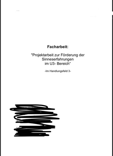 Facharbeit erzieher - facharbeit, (1,0)