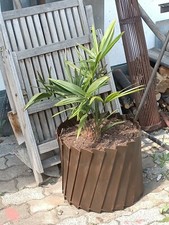 43cm Pflanz topf, Pflanz