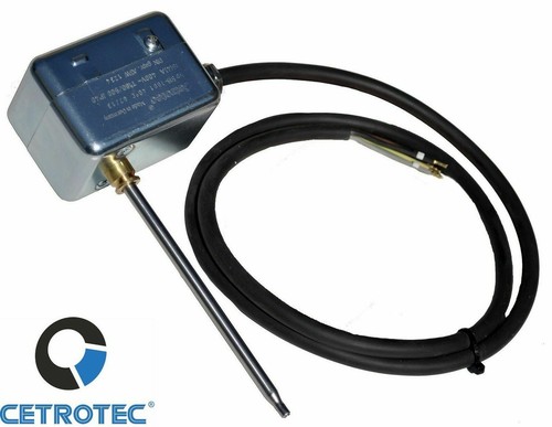 Rauchgasthermostat