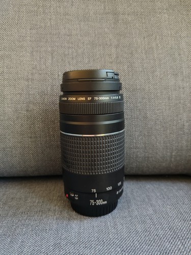 Canon 300mm 5 - ef, iii