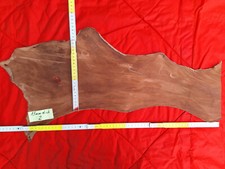 Rindsleder Lederhaut