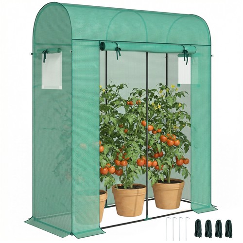Tomatengewächshaus