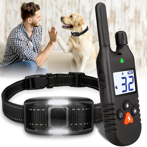 2025 hunde erziehungshalsband - 2025,
