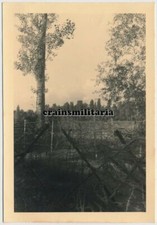 Orig. Foto Stacheldraht