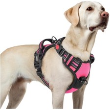 Hundegeschirr Grosse Hunde