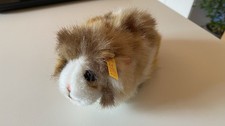 Original Steif Meerschweinchen
