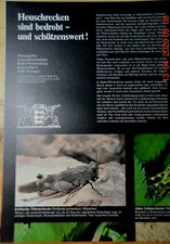 Poster: Heuschrecken sind bedroht. Baden-Württemberg