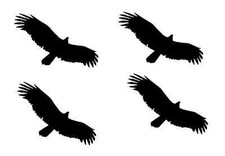 4 Stück Vögel Aufkleber