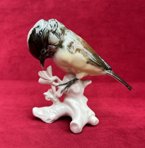 Karl ens vogel meise - vogel,