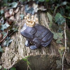 Skulptur Froschkönig, Frosch