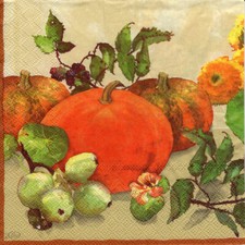 2 Servietten (1/2 Motiv) ~ Herbst,  Kürbisse, Blumen ~ 33x33 cm