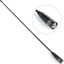 Authentic Genuine Nagoya