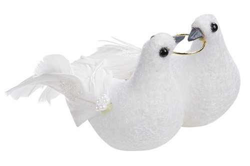 Tauben hochzeitstaubenpaar mit - hochzeitstaubenpaar,