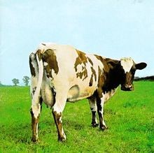 Atom heart mother von - atom, pink