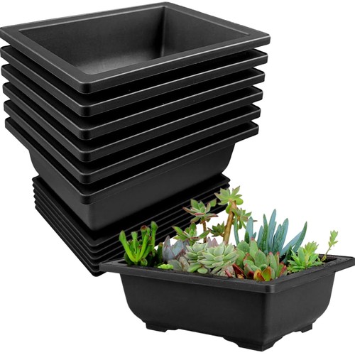 Bonsai schale set stück - schale,