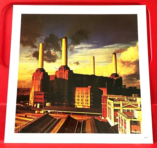 Pink floyd animals album cover - pink,