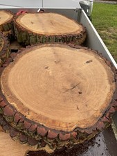 Baumscheibe Eiche XXL 85 cm