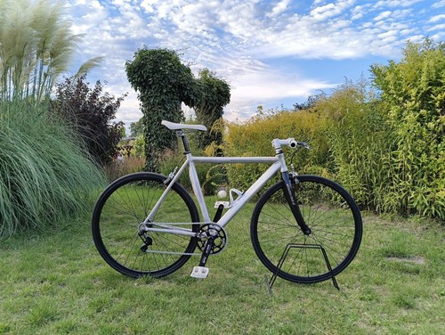 Custom singlespeed fixie - custom, –