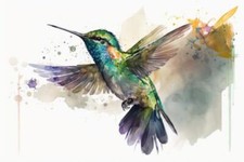 Wandbild: Fliegender Kolibri
