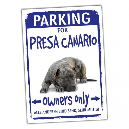 Presa canario dogo parking - canario,