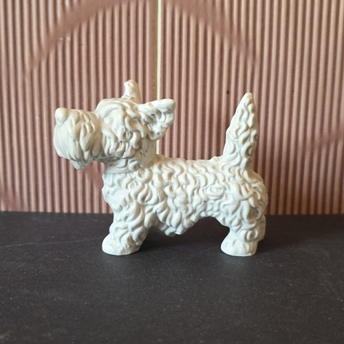 Scottish terrier - scottish,