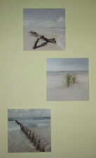 3 Glasbilder "Strand" / Holzpfosten, Gräser, Wurzel / Eurographics
