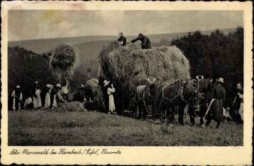 Heimbach der eifel - heimbach, in