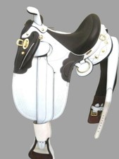 Weißer Australian Stock Horse