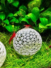 Aquarium Mooskugel Deko | Garnelen Deko Ball zum Bepflanzen und Klettern