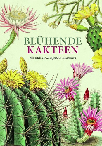 Blühende kakteen alle tafeln - blühende,
