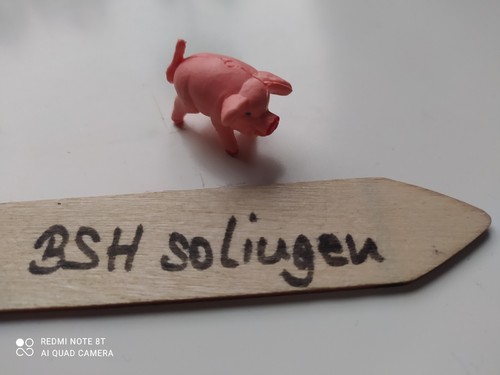 Bsh - ,
