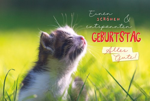 Geburtstag - ,