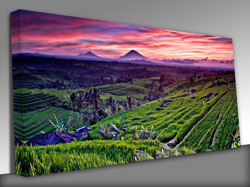 Ubud bali indonesien panorama - ubud, bali,