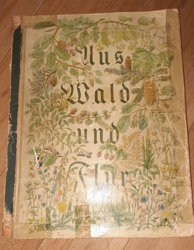 Aus wald und flur pflanzen - aus,