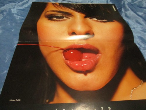 Playboy playmate kalender - playboy,
