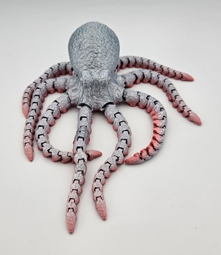Oktopus in 44 farben - in,
