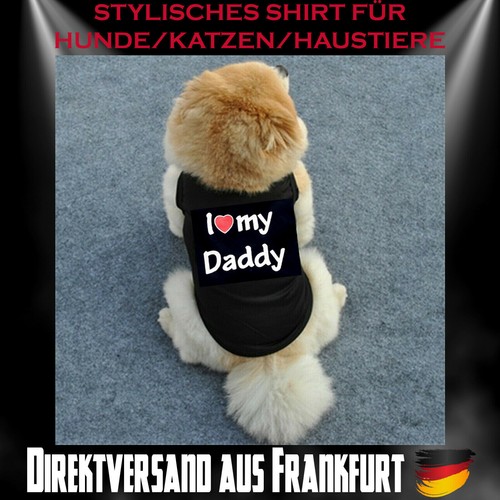 Hund dog welpe katze - welpe,