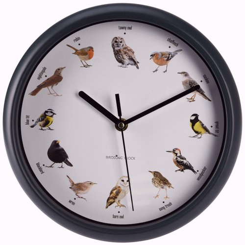 Vogelgezwitscher wanduhr cm - vogelgezwitscher,