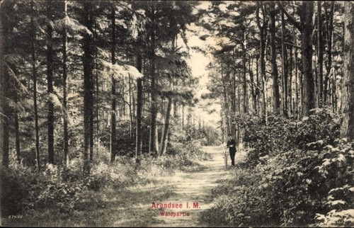 Arendsee der altmark - ak,