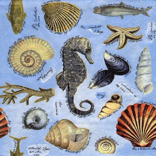 Servietten maritim - ~,