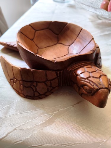 Schildkröte - , ♥️
